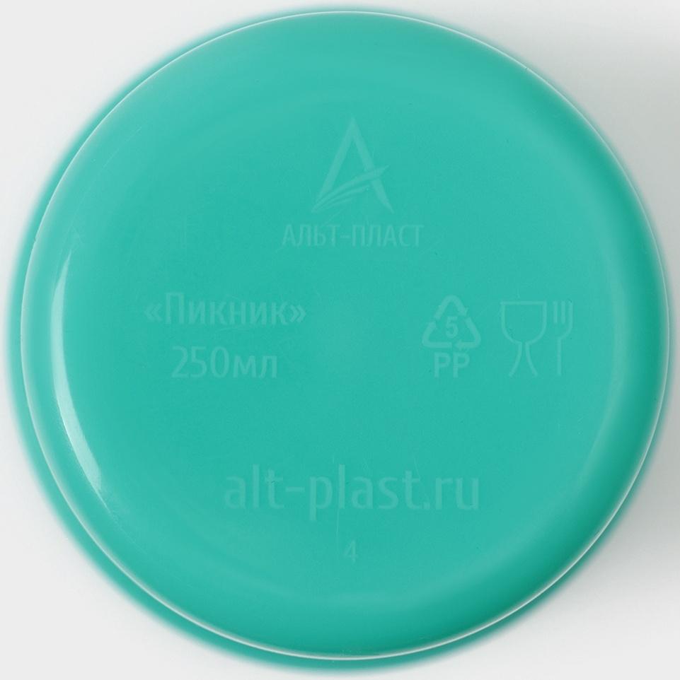 Набор посуды для пикника «Весёлая компания– 2», на 4 персоны, 41 предмет, пластик, МИКС