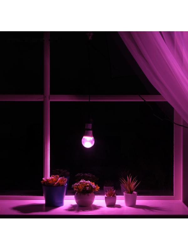 Светильник для растений 9 Вт, 7 мкмоль/с, провод 1,7 метра с выключателем, липучка на окно