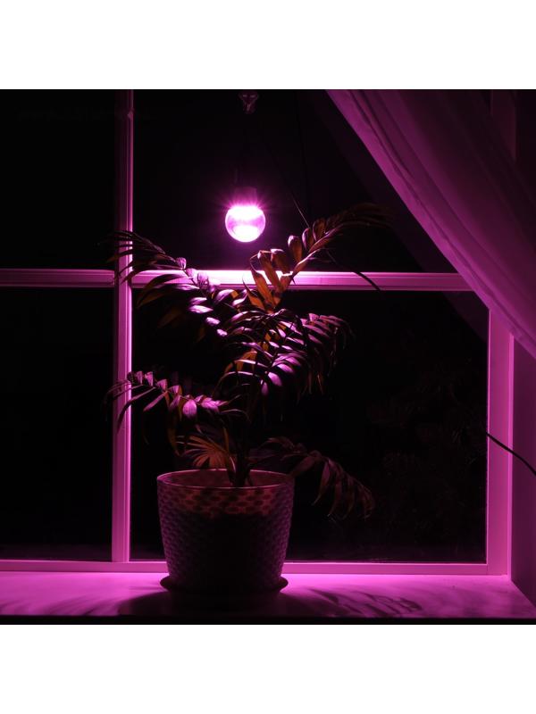Светильник для растений 9 Вт, 7 мкмоль/с, провод 1,7 метра с выключателем, липучка на окно
