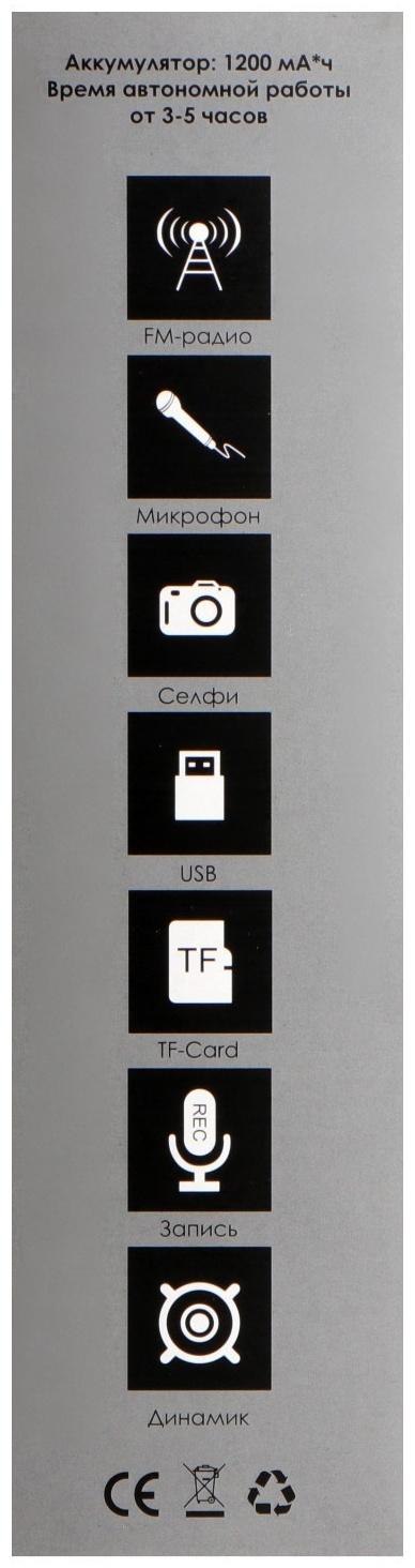 Микрофон для караоке Belsis MA3002BK, 3 Вт, 1200 мАч, Bluetooth, FM, microSD, чёрный