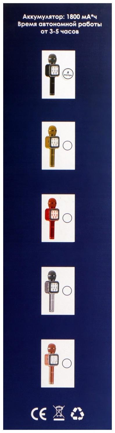 Микрофон для караоке Belsis MA3002BK, 3 Вт, 1200 мАч, Bluetooth, FM, microSD, чёрный