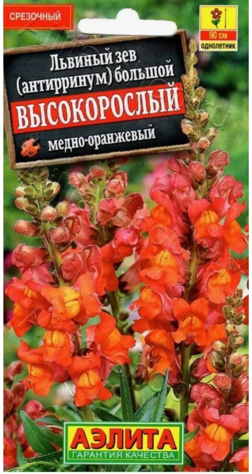 Семена цветов Львиный зев «Высокорослый», однолетник, медно-оранжевый