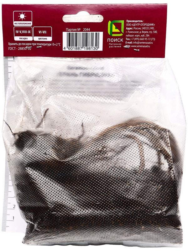 Герань гибридная Сью Круг, р-р I, 1 шт, Весна 2025