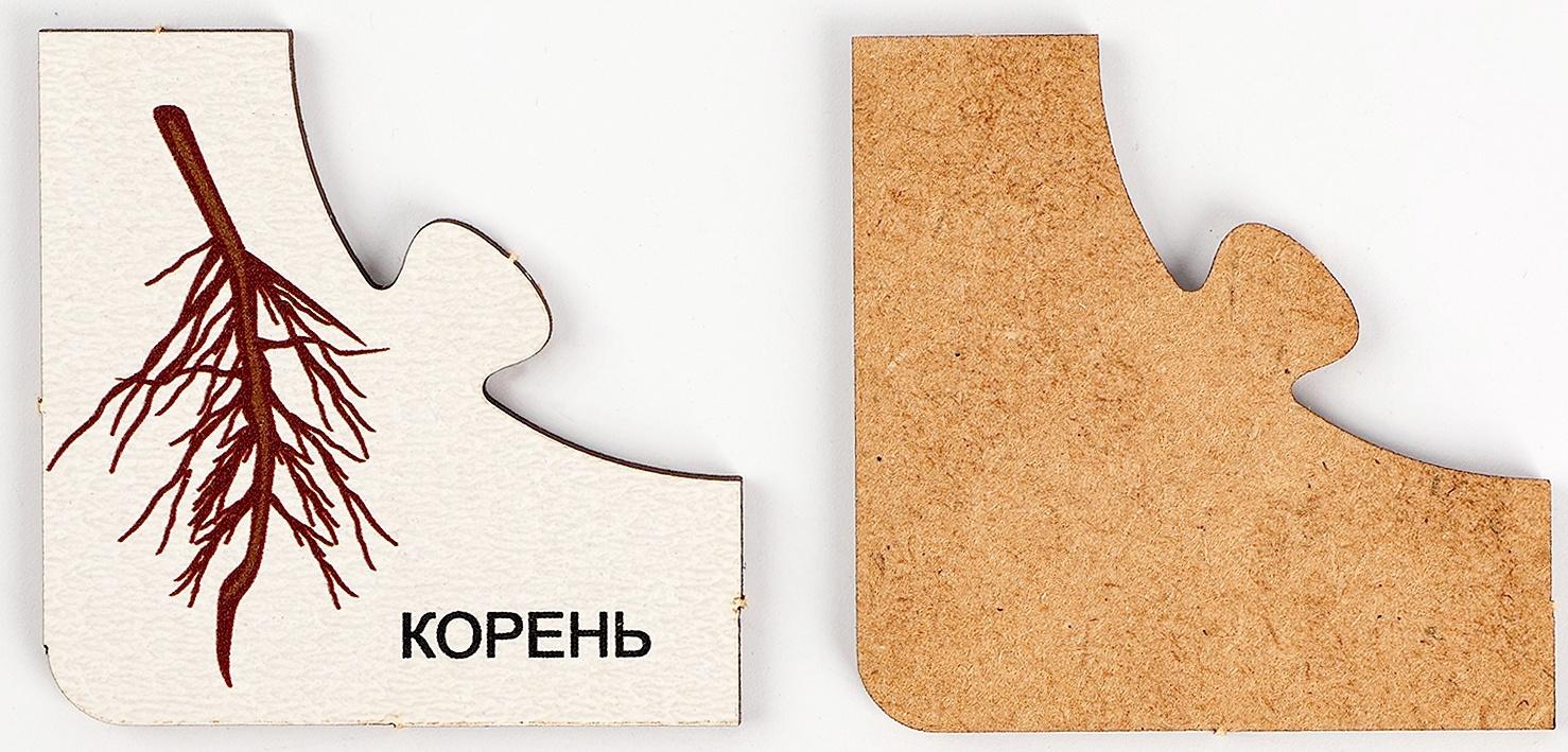 Пазлы ассоциации «Кто где живёт?», «Цифры и счёт», «Профессии», набор из 3 шт.