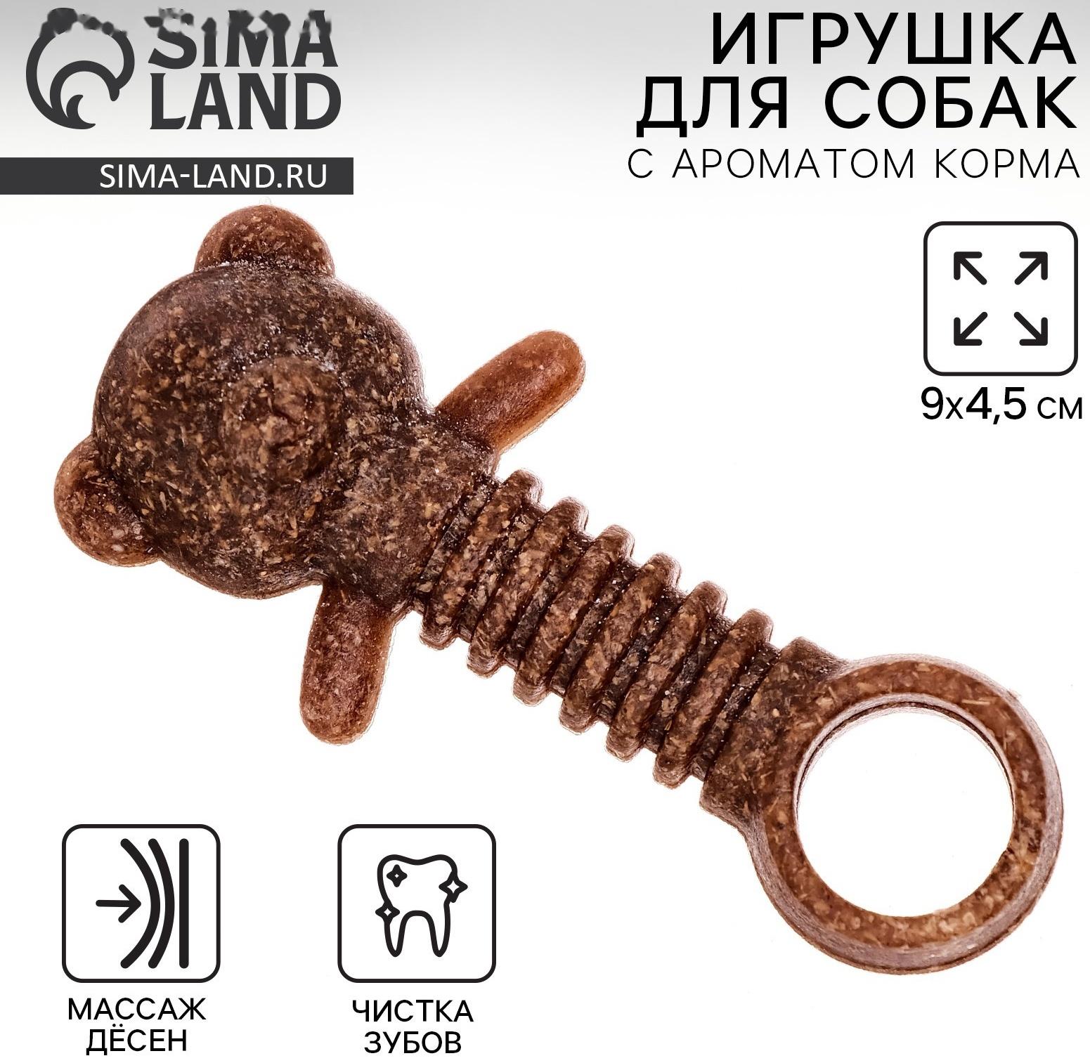 Игрушка для собак жевательная со ароматом корма «Медвежонок», 9 х 4.5 см