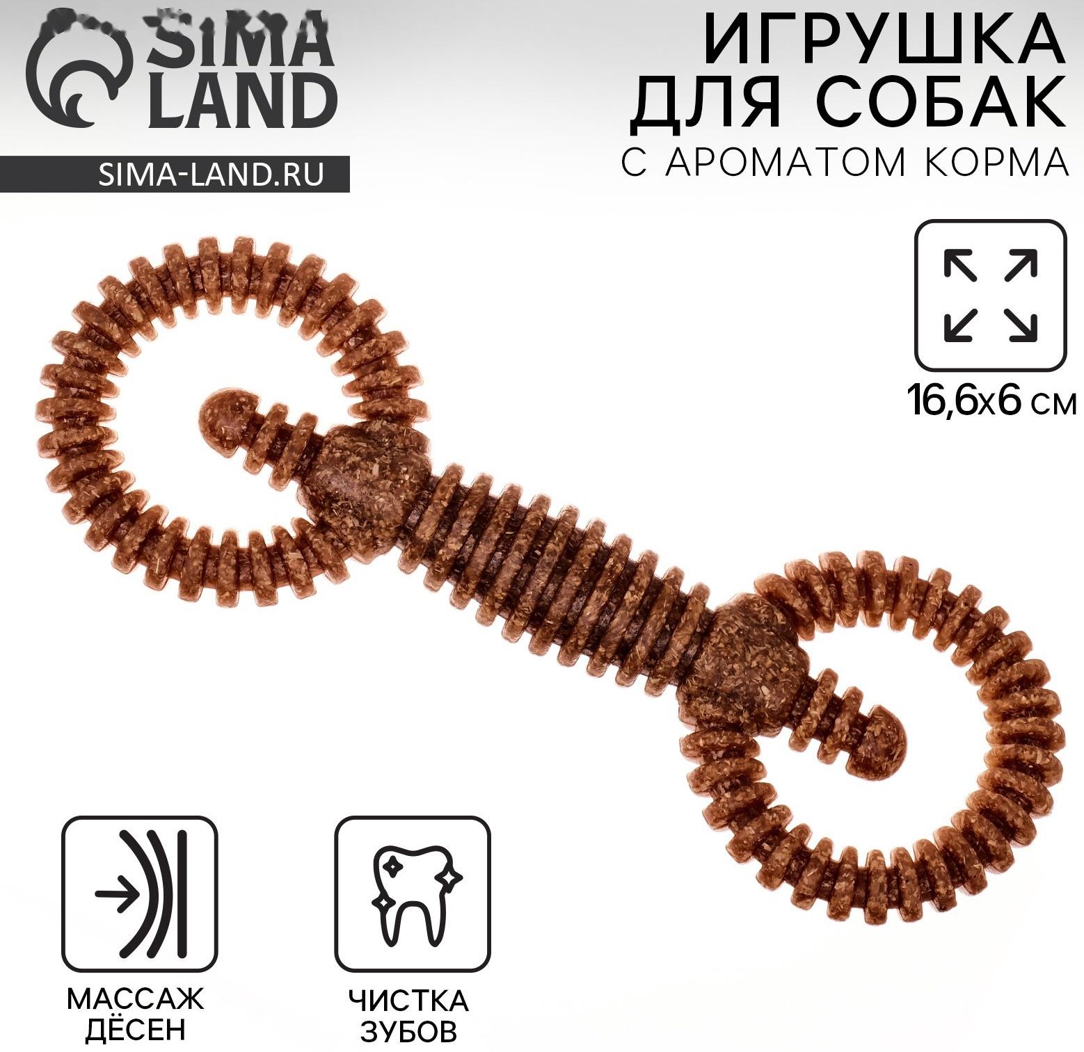 Игрушка для собак жевательная со ароматом корма «2 кольца», 16 х 5 см