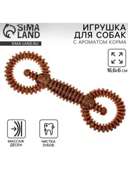 Игрушка для собак жевательная со ароматом корма «2 кольца», 16 х 5 см