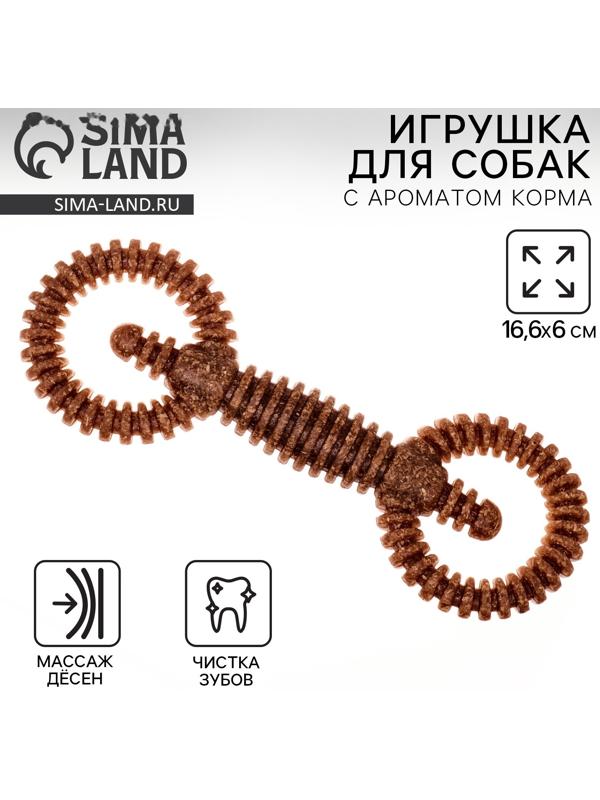 Игрушка для собак жевательная со ароматом корма «2 кольца», 16 х 5 см
