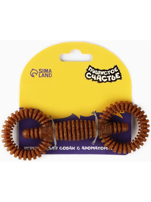 Игрушка для собак жевательная со ароматом корма «2 кольца», 16 х 5 см