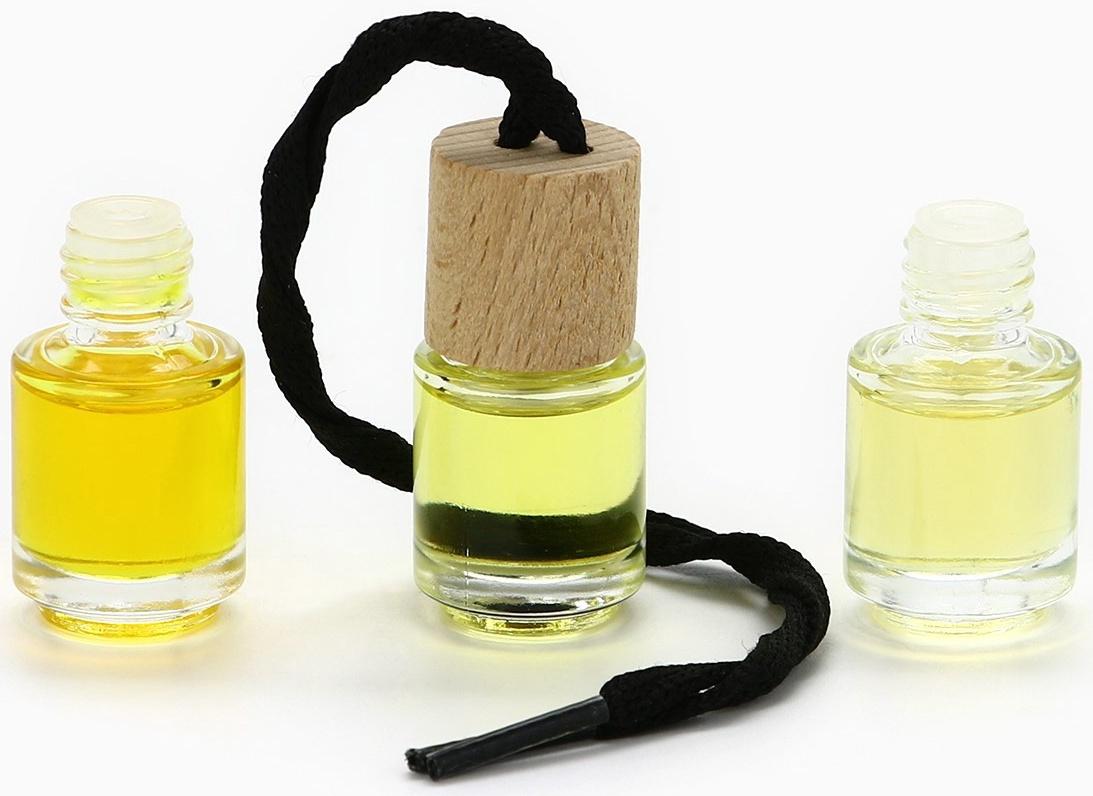 Ароматизаторы для машины новогодние «Все сбудется, загадывай», цитрус, тропики, парфюм, 3 шт