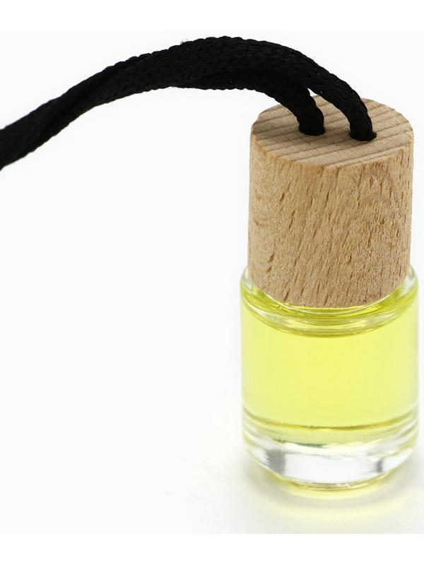 Ароматизаторы для машины новогодние «Все сбудется, загадывай», цитрус, тропики, парфюм, 3 шт