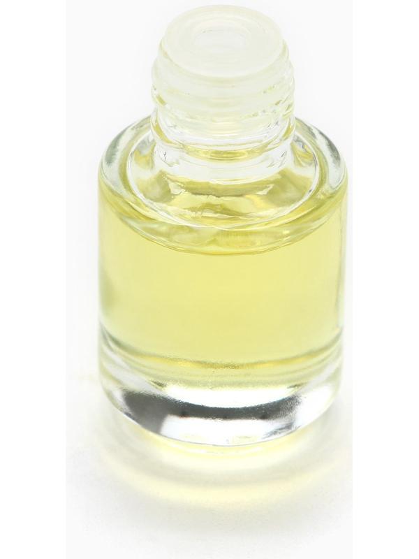 Ароматизаторы для машины новогодние «Все сбудется, загадывай», цитрус, тропики, парфюм, 3 шт