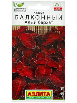 Семена цветов Колеус балконный 
