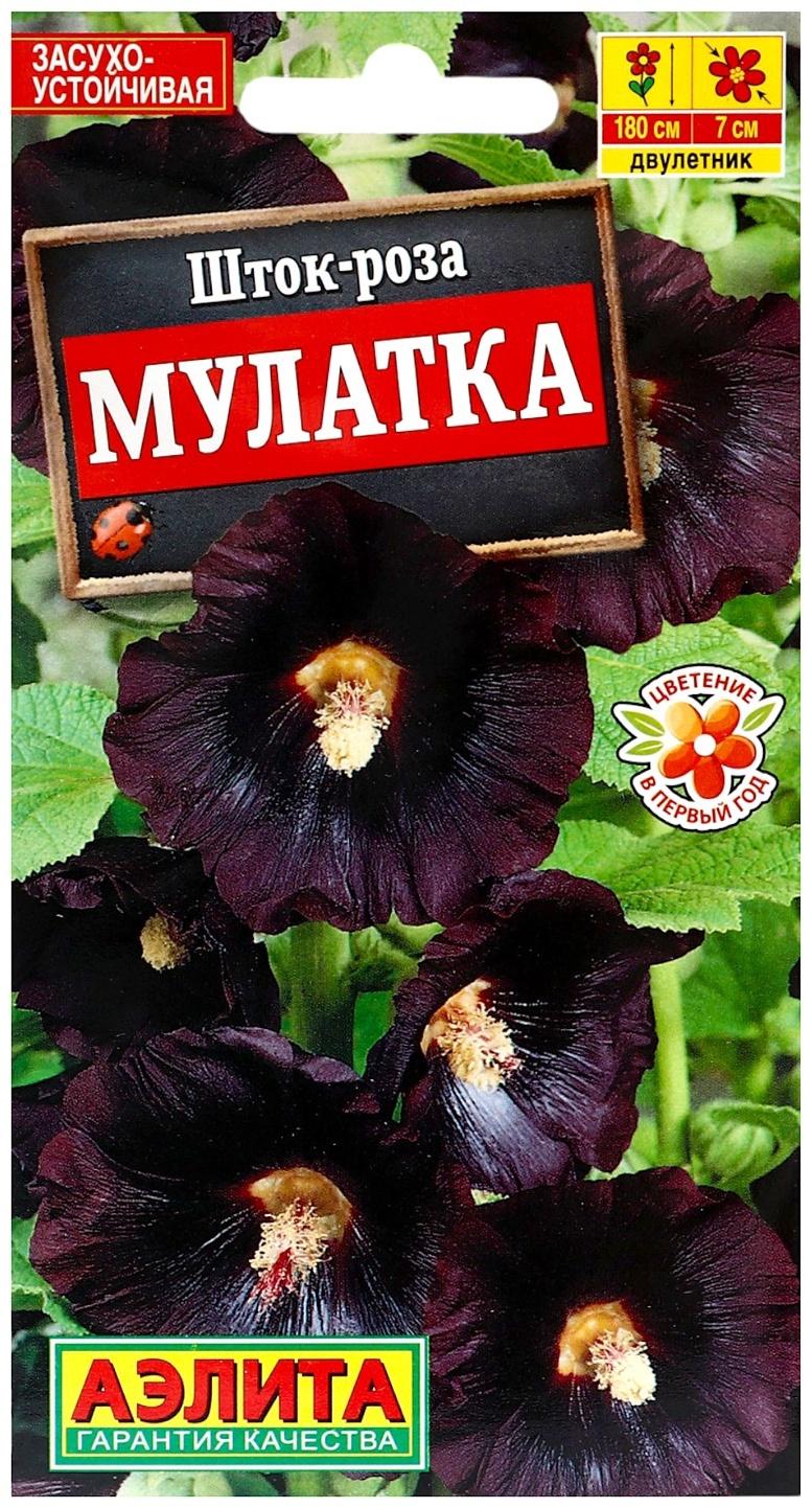 Семена цветов Шток-роза 