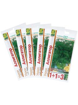 Семена Укроп 1+1 