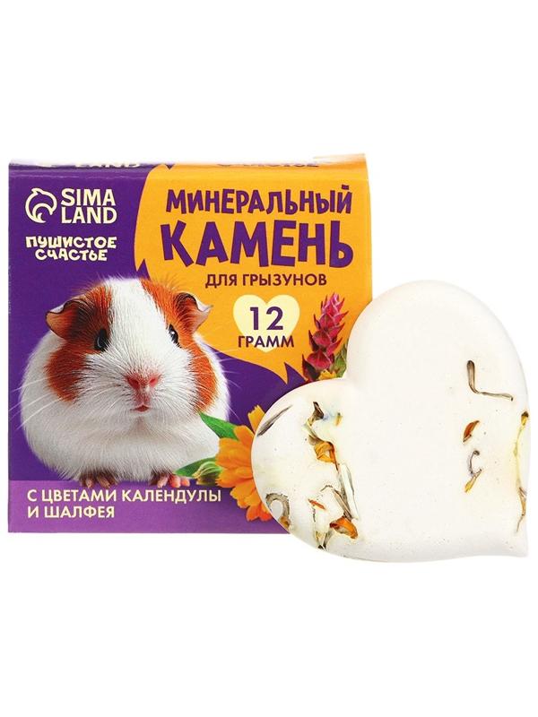 Минеральный камень для грызунов «Лакомство» с цветами календулы и шалфея, 12 г