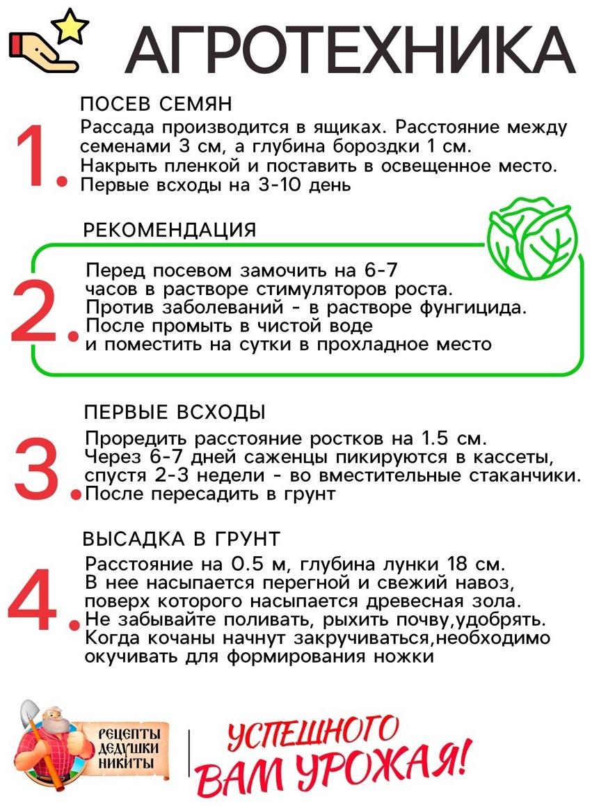 Семена Капуста белокочанная 