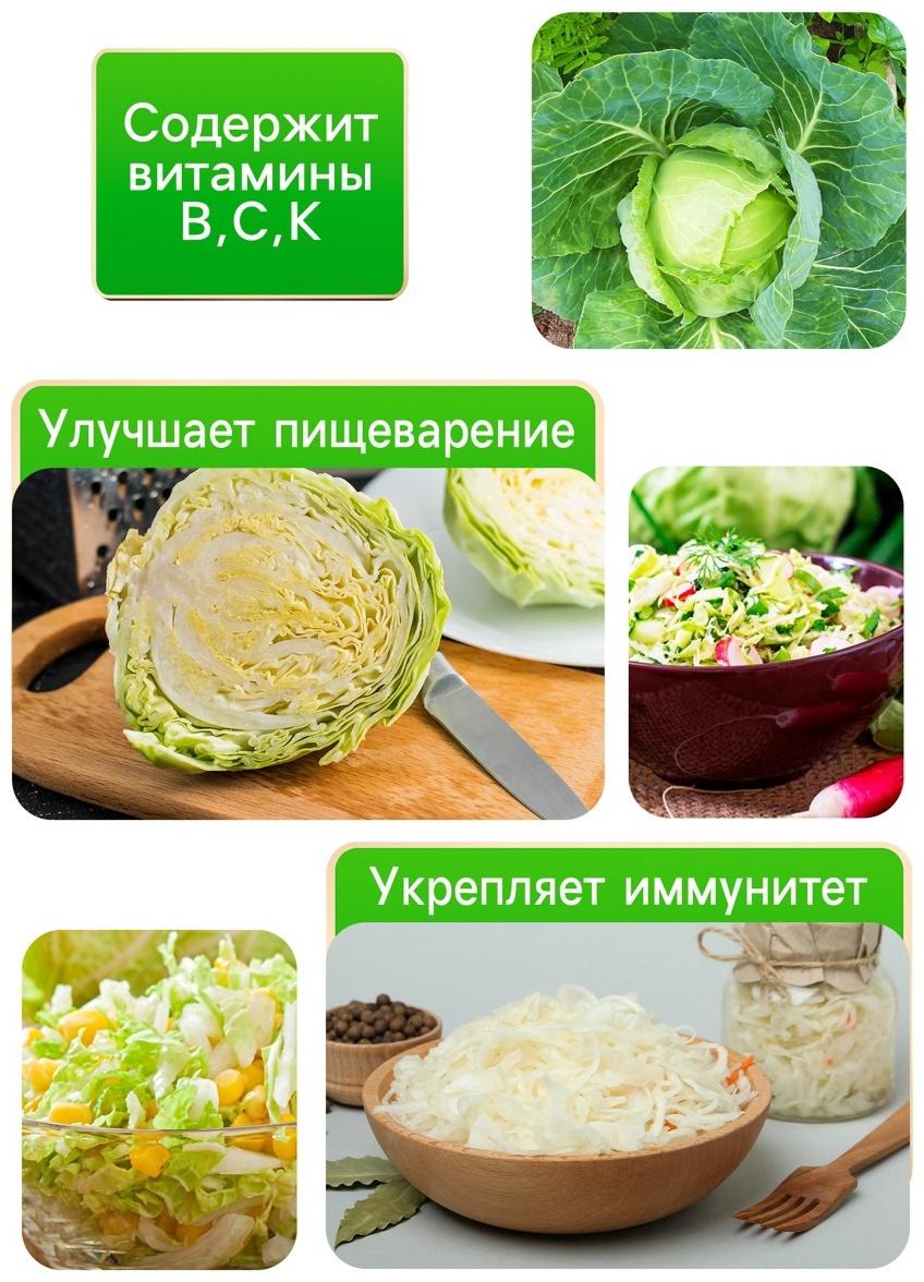 Семена Капуста белокочанная 