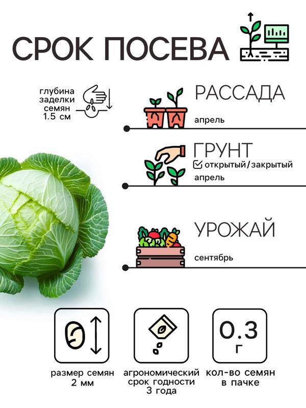 Семена Капуста белокочанная 
