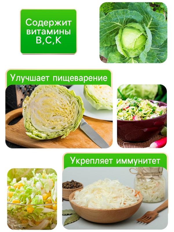 Семена Капуста белокочанная 