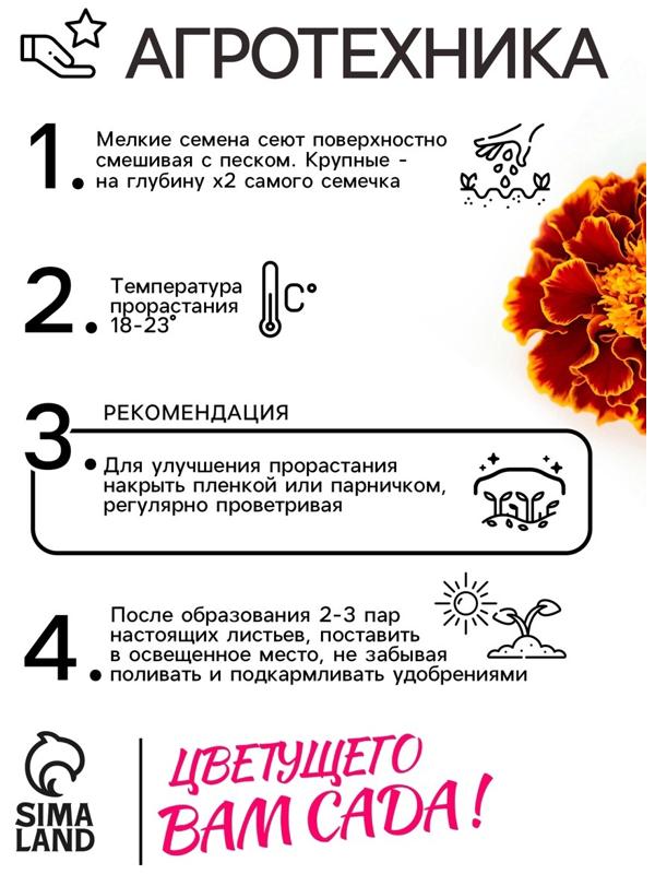 Семена цветов Бархатцы 