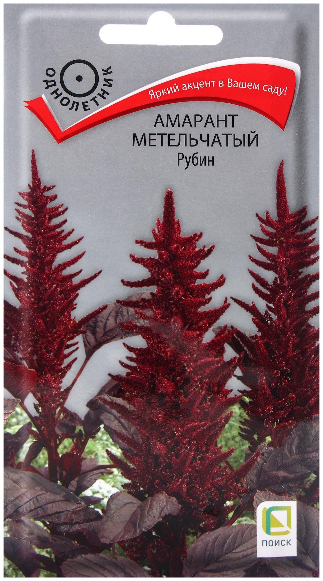 Семена цветов Амарант метельчатый 