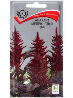 Семена цветов Амарант метельчатый 