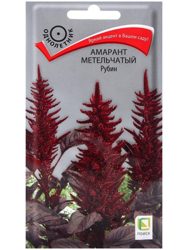 Семена цветов Амарант метельчатый 