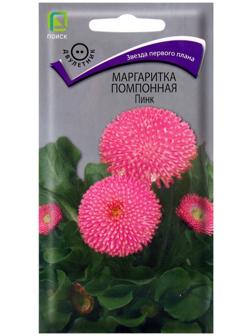 Семена цветов Маргаритка помпонная 