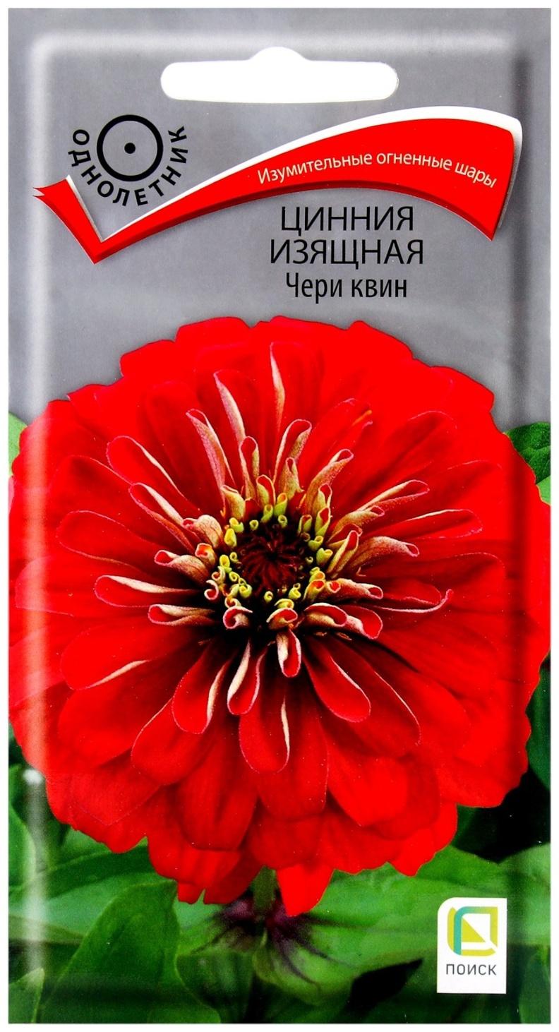 Семена цветов Цинния изящная 