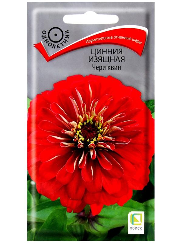 Семена цветов Цинния изящная 