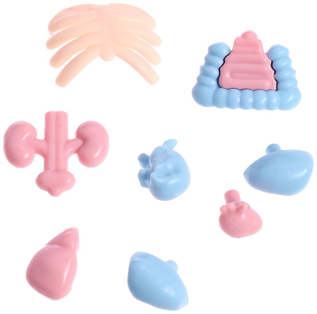 Набор для опытов по анатомии «Строение тела человека», 15 деталей, 10 обучающих карточек