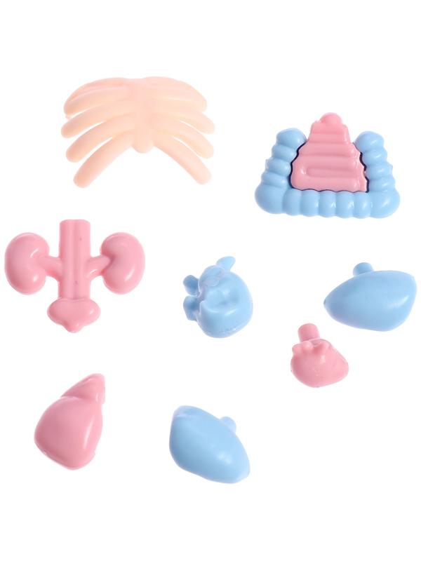 Набор для опытов по анатомии «Строение тела человека», 15 деталей, 10 обучающих карточек