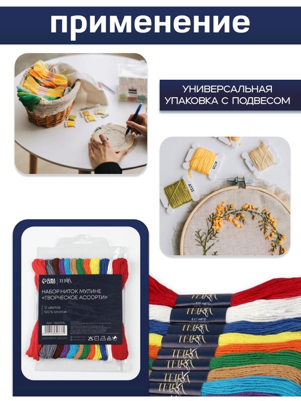 Набор ниток мулине «Сочный», 8±1 м, 12 шт.