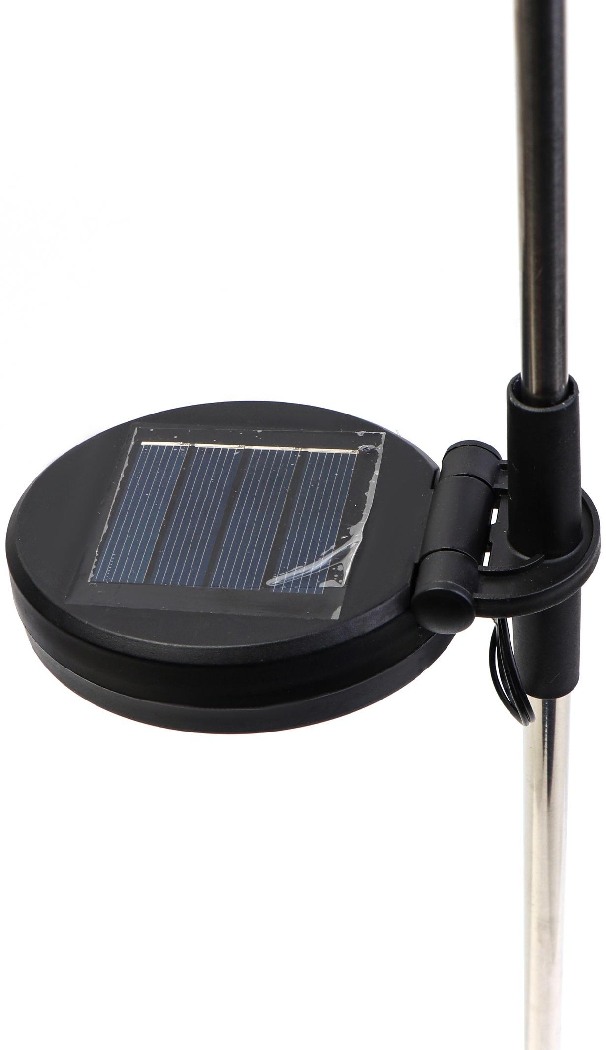 Штекер с подсветкой «Бабочка Клео», на солнечной батарее, зеленая, 8×70 см