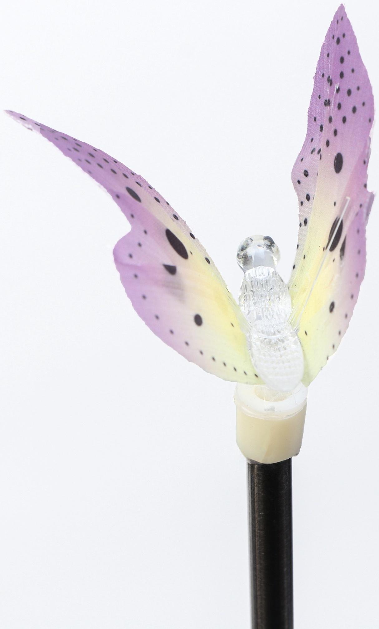 Штекер с подсветкой «Бабочка Клео», на солнечной батарее, фиолетовая, 8×70 см