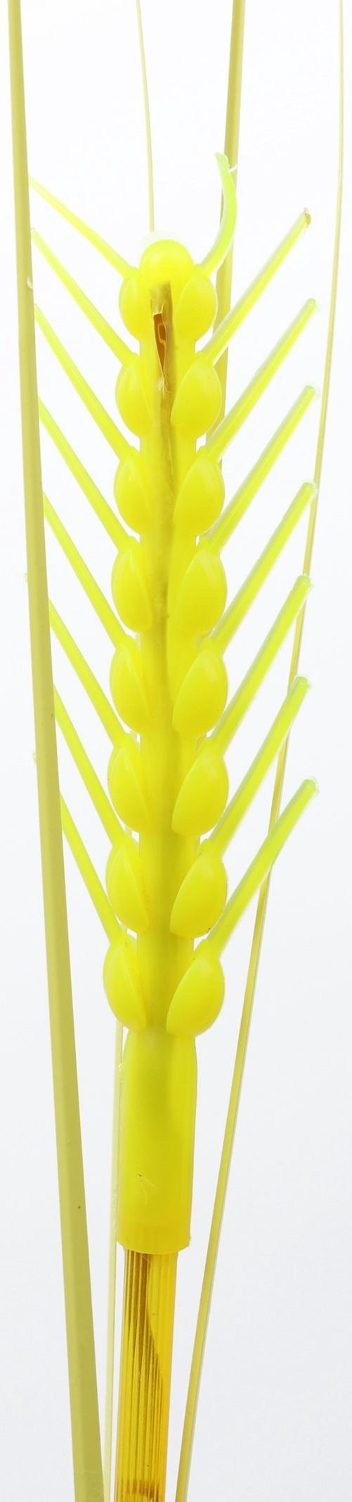 Штекер с подсветкой «Колосок», на солнечной батарее, 5×85 см