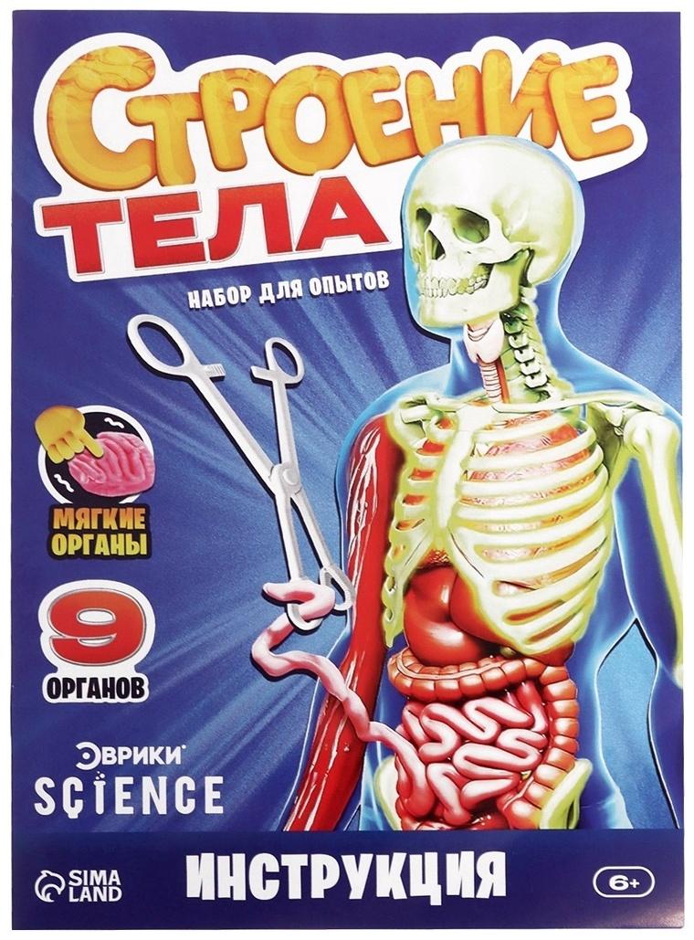 Набор для опытов по анатомии «Строение тела», светится в темноте, с мягкими органами