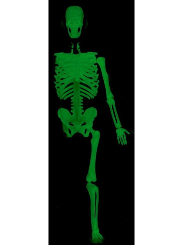 Набор для опытов по анатомии «Строение тела», светится в темноте, с мягкими органами