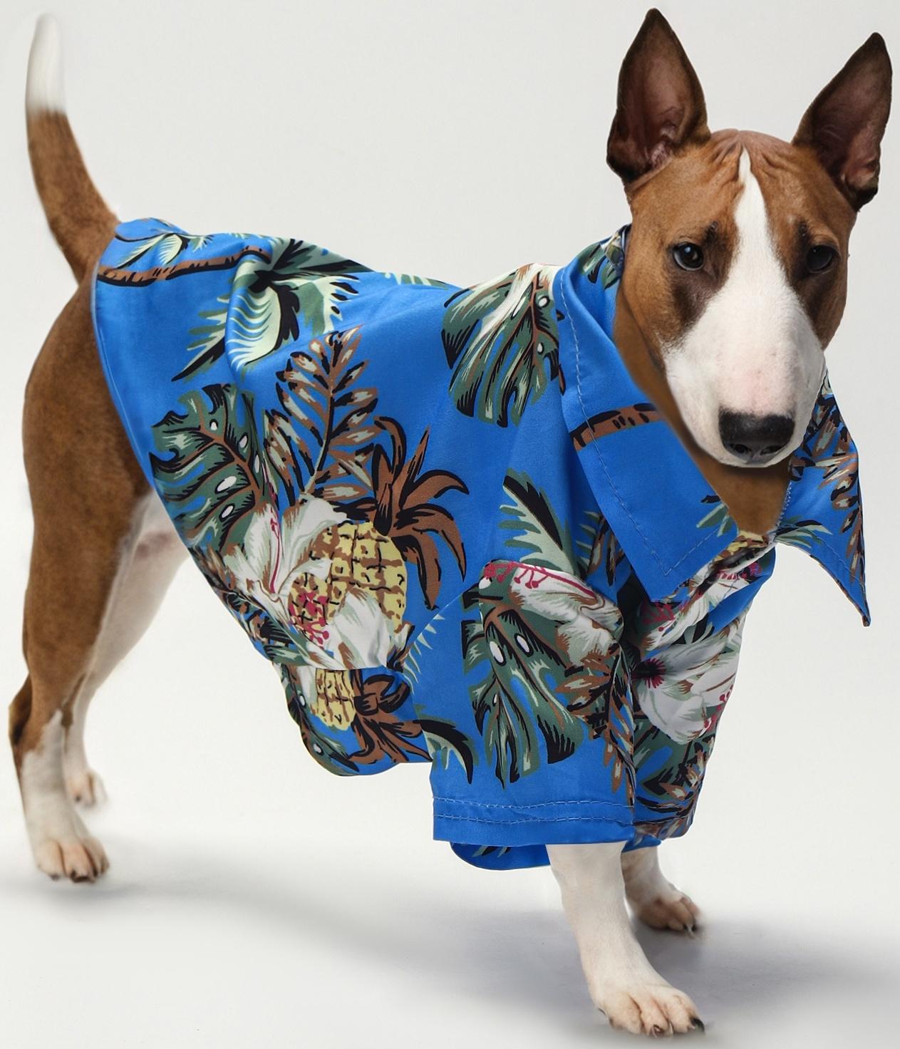 Рубашка для собак 