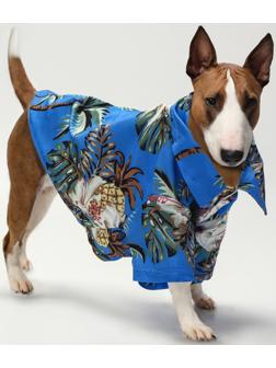 Рубашка для собак 