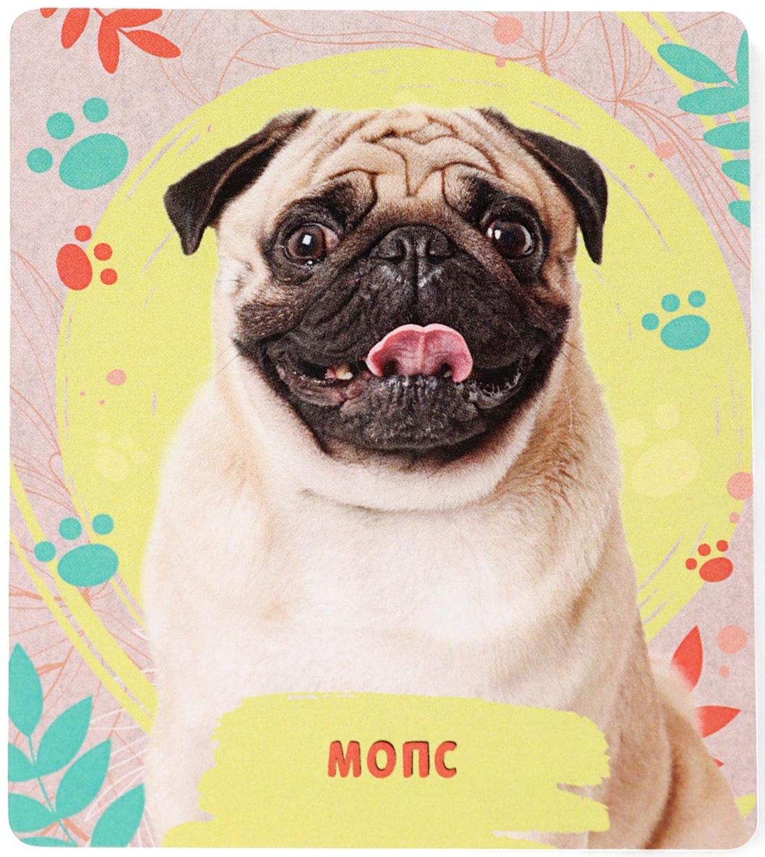 Игрушка - сюрприз «Домашние питомцы. Собаки»