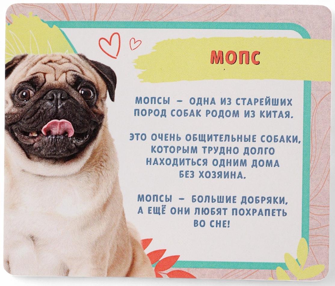 Игрушка - сюрприз «Домашние питомцы. Собаки»