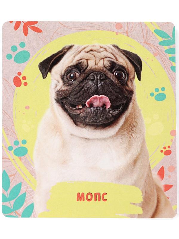 Игрушка - сюрприз «Домашние питомцы. Собаки»