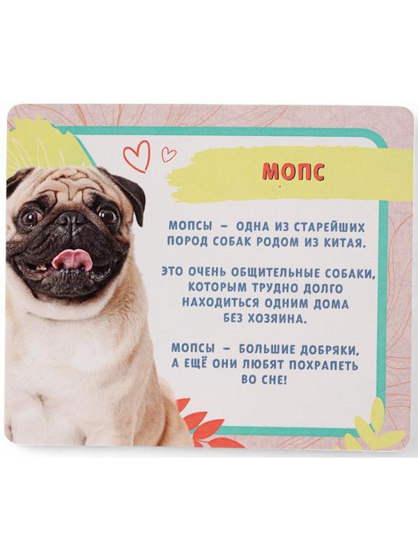 Игрушка - сюрприз «Домашние питомцы. Собаки»