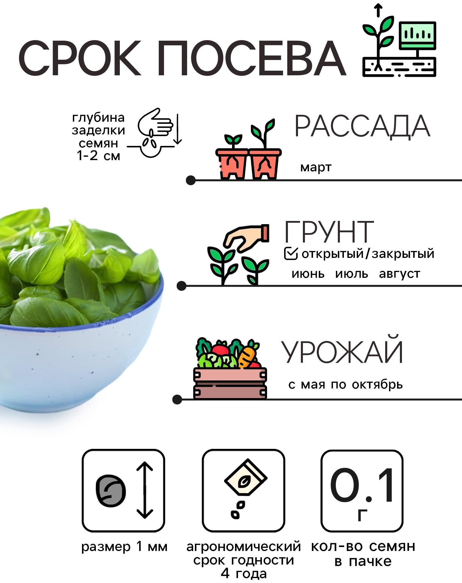 Семена Базилик 