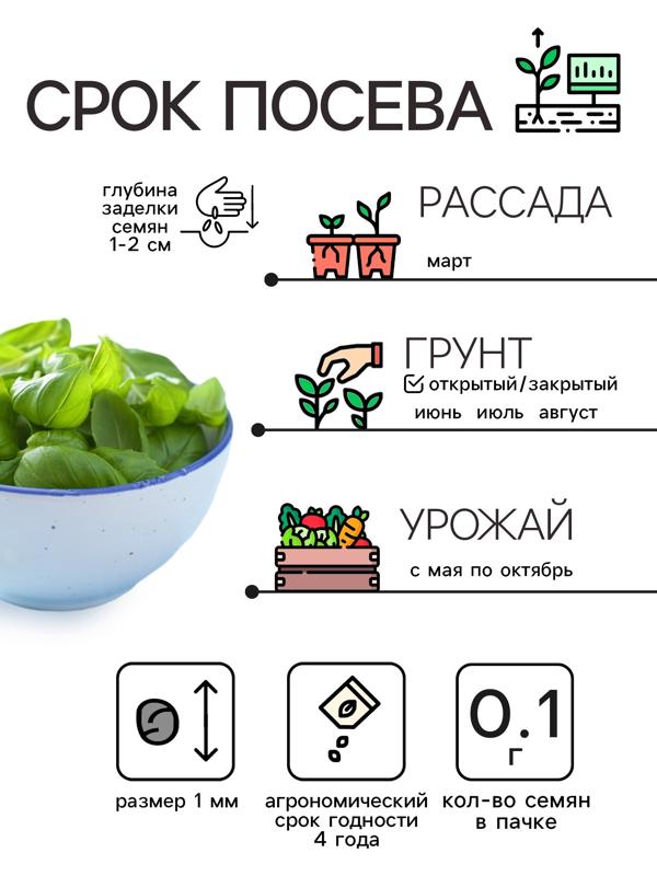 Семена Базилик 