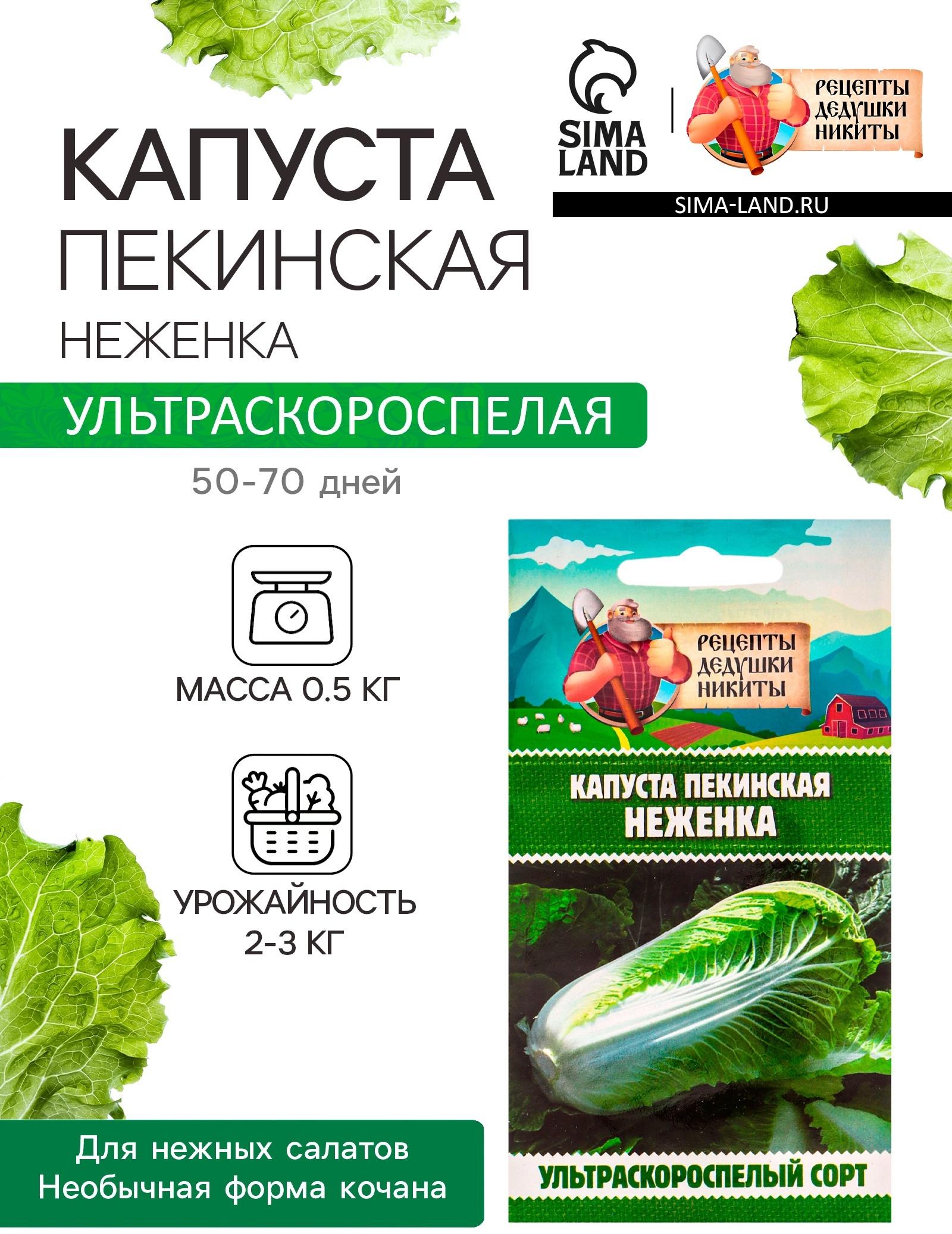 Семена Капуста пекинская 