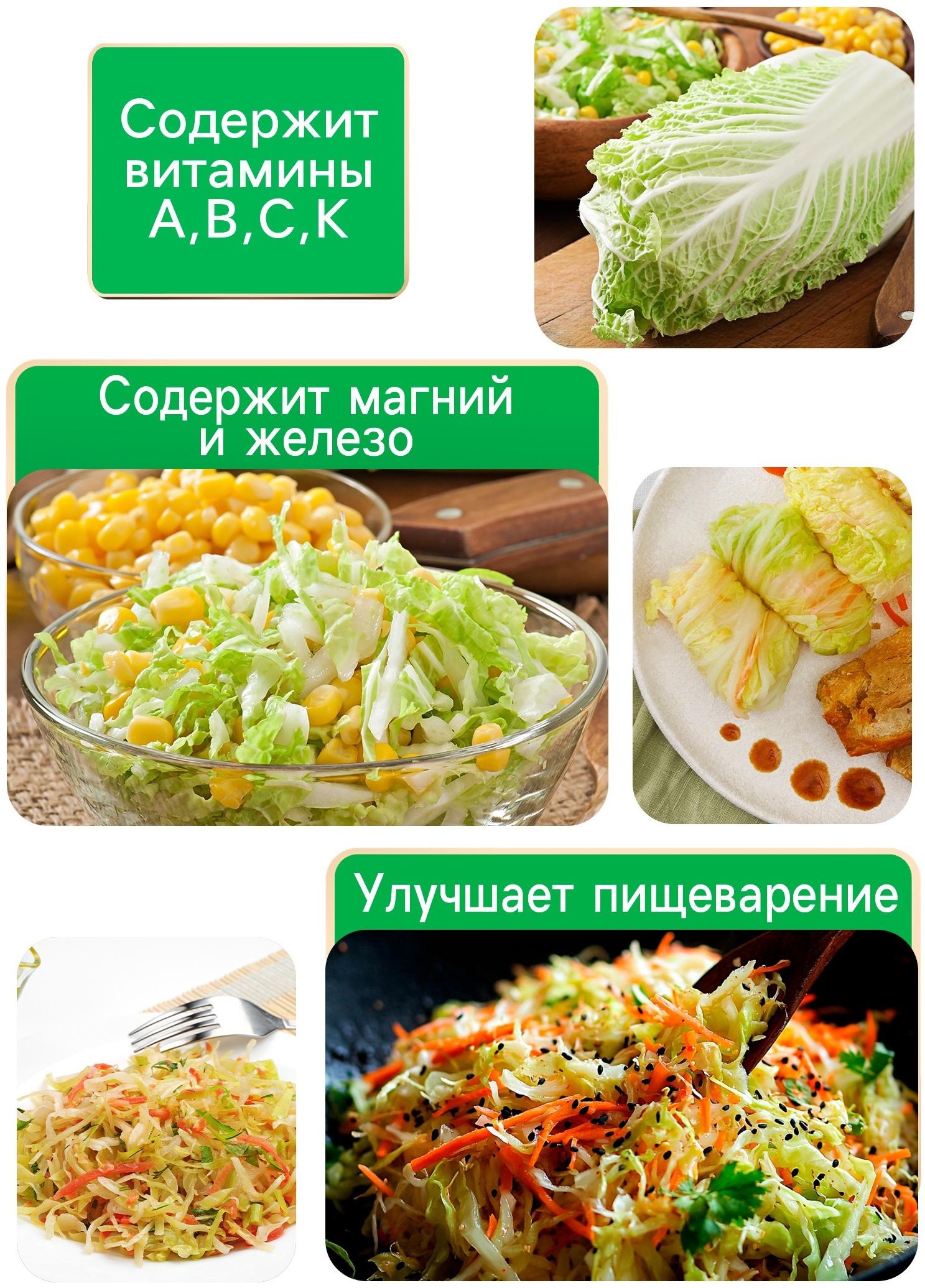 Семена Капуста пекинская 