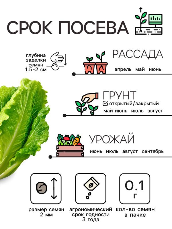 Семена Капуста пекинская 